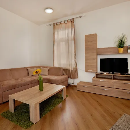 Business & Family Ambiente Apartament